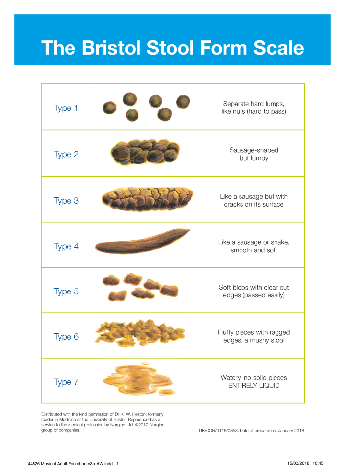 Best Bristol Stool Scale Explained of all time Learn more here | stoolz