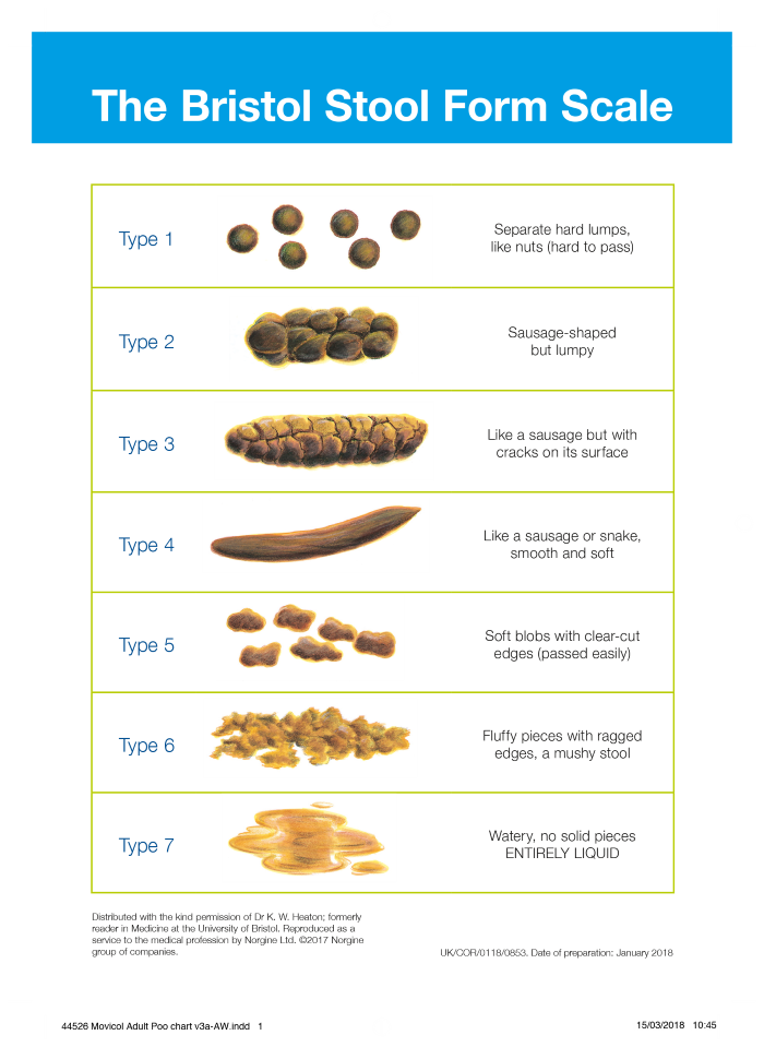 Best Bristol Stool Scale Explained Of All Time Learn More Here Stoolz